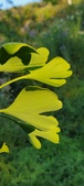Enlarge photo 316