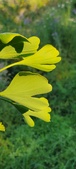 Enlarge photo 317