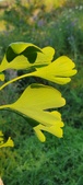Enlarge photo 318