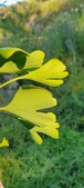 Enlarge photo 319