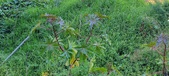 Enlarge photo 323