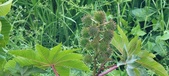 Enlarge photo 321