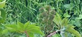 Enlarge photo 324