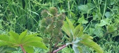 Enlarge photo 325