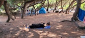 Enlarge photo 37
