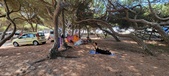 Enlarge photo 41