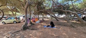 Enlarge photo 42