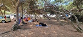 Enlarge photo 43