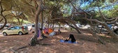 Enlarge photo 44
