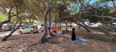 Enlarge photo 46