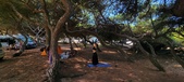 Enlarge photo 47