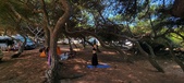 Enlarge photo 49