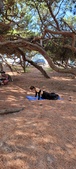 Enlarge photo 51
