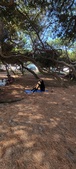 Enlarge photo 53