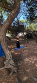 Enlarge photo 57