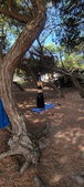 Enlarge photo 58