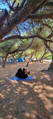 Enlarge photo 71