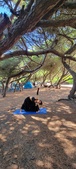 Enlarge photo 72