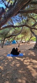 Enlarge photo 73