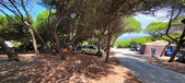 Enlarge photo 77