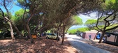 Enlarge photo 78