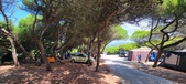 Enlarge photo 79