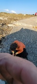 Enlarge photo 90