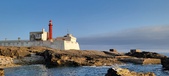 Enlarge photo 115