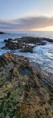 Enlarge photo 122