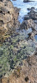 Enlarge photo 123
