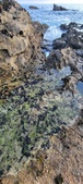 Enlarge photo 124