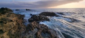 Enlarge photo 135