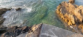 Enlarge photo 149