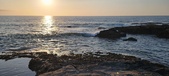 Enlarge photo 156