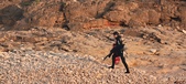 Enlarge photo 162