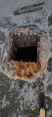 Enlarge photo 178