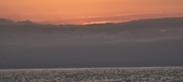 Enlarge photo 194