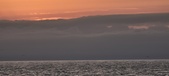Enlarge photo 196