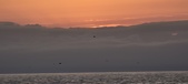 Enlarge photo 199