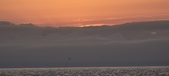 Enlarge photo 200