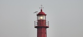 Enlarge photo 202