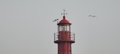 Enlarge photo 203