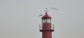 Enlarge photo 204