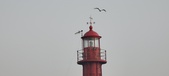 Enlarge photo 205