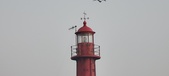 Enlarge photo 206