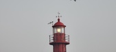 Enlarge photo 207