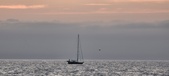Enlarge photo 224
