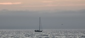 Enlarge photo 225