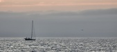 Enlarge photo 226