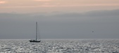 Enlarge photo 227